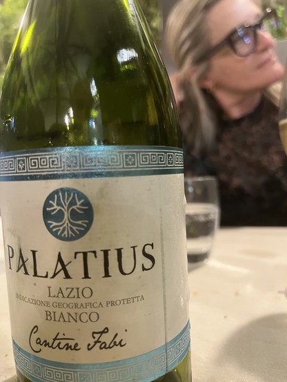 18€ local white wine “palatius” was delicioso!