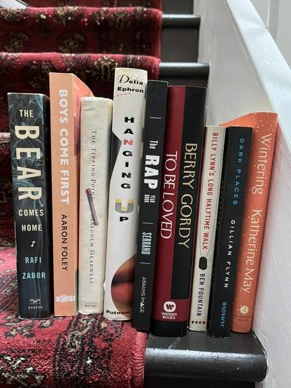 The Bear Comes Home by Rafi Zabor 
Boys Come First by Aaron Foley
The Tipping Point by Malcolm Gladwell
Delia Ephron: Hanging Up
The Rap Year Book by Serrano
Berry Gordy To Be Loved
Billy Lynn's Long Halftime Walk by Ben Fountain
Dark Places by Gillian Flynn
Wintering by Katherine May

