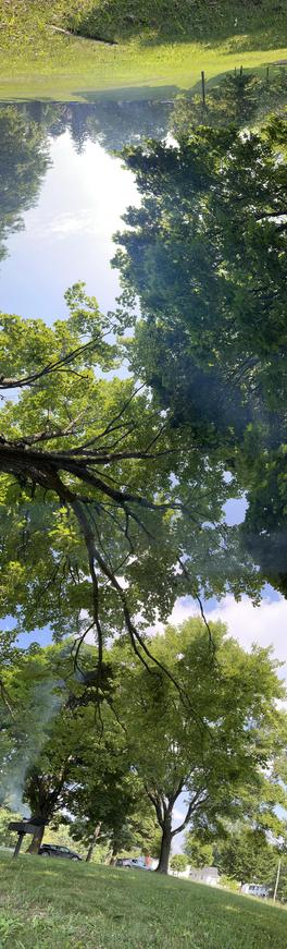 weird pano view