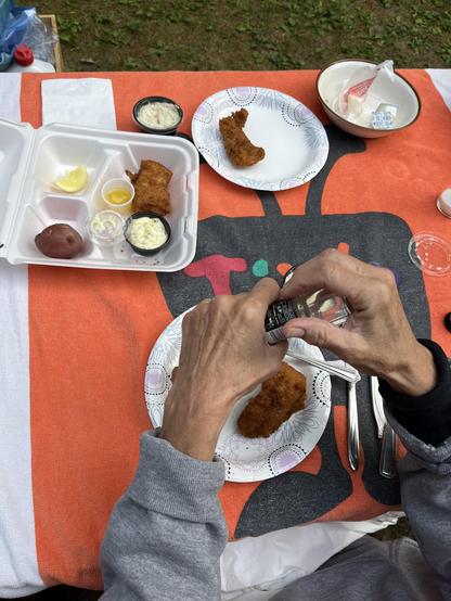 This photo shows someone [it’s Lynn!] enjoying fried fish at an outdoor meal. [Lynn] , wearing a gray sweater, is seated at a table covered with a bright orange tablecloth and is seasoning their food with pepper from a small shaker.

The meal is served on decorative white plates with a geometric pattern. There are several pieces of golden-brown fried fish - one on the person’s plate and another on a separate plate. A styrofoam takeout container sits on the table containing additional fried fish…