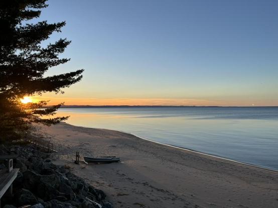 This is a beautifully serene beach scene captured during sunset. The composition features:

Foreground: A sandy beach with scattered rocks and driftwood along the shoreline. A small rowboat rests on the sand near the water's edge.

Main Elements: On the left side, a striking silhouette of a pine tree frames the scene, with the sun glowing brilliantly through its branches, creating a natural focal point.

Water: The calm body of water—Marquette Bay—displays gorgeous gradient colors ranging from …