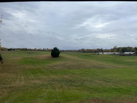 This photo captures a peaceful rural autumn landscape. The scene features an expansive open field with a mix of green grass and patches of dried, tan-colored grass.

A solitary evergreen tree stands prominently in the middle distance, serving as a natural focal point against the rolling terrain. The background reveals a tree line with deciduous trees displaying autumn foliage in shades of orange, yellow, and brown.

The sky is overcast with dramatic gray clouds that create a moody atmosphere, w…
