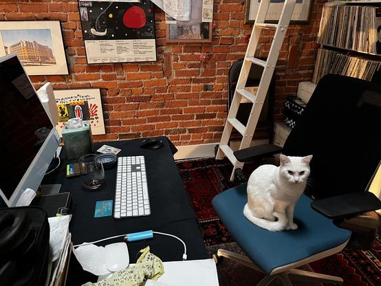 This photo shows a stylish home workspace that blends industrial and mid-century modern aesthetics.

The Setup:
Black desk with Apple wireless keyboard and Magic Mouse

Modern lounge chair with teal cushion and light wood frame

A beautiful white cat sitting regally on the chair atop a traditional red geometric rug

The Walls:
Exposed red brick provides warmth and texture, decorated with:

Architectural photo of a historic yellow building [OG Cass Tech HS]

Abstract celestial art (red planet, c…