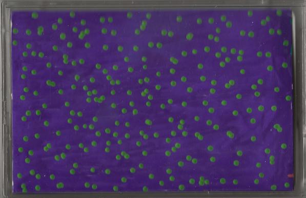 Hand-painted J-cards and tape labels.

Tape 1 (purple with green polka dots)

A solid violet-purple background covered edge to edge with dozens of hand-painted green dots, scattered in loose clusters rather than a strict grid — playful, almost confetti-like. Simple two-color palette, high contrast.

ALT by Claude