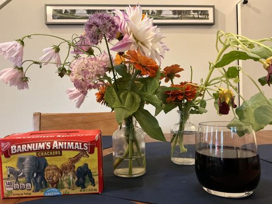 Two glass bottles hold a garden-cut bouquet — a big white-and-pink dinner-plate dahlia and a purple allium ball dominate, surrounded by orange zinnias, a pale pink scabiosa, drooping pink cosmos, and some trailing vine (looks like a squash or nasturtium tendril) draping off to the right, with a few wilted yellow blooms mixed in. In front sits a glass of dark red wine, and to the left a red Barnum's Animals cracker box adds a pop of color and a bit of whimsy against the flowers. It's all set on …