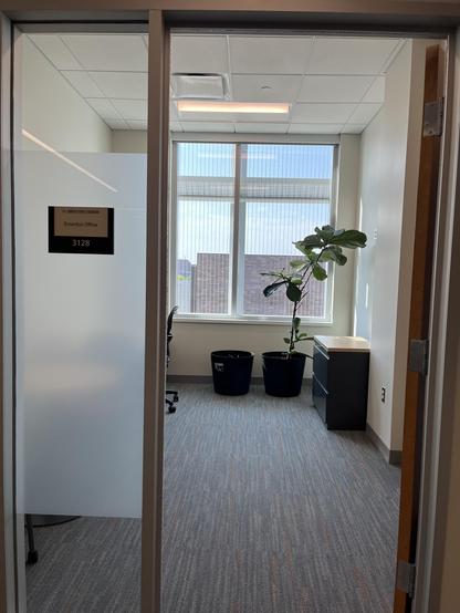 A small, sparsely furnished emeritus office, room 3128, viewed through its glass-paneled door. The nameplate reads "Computer Science & Engineering – Emeritus Office – 3128." Inside, gray carpet tile with flecks of orange runs to a large window with vertical blinds partly drawn, giving a view of an adjacent brick/tile building under a clear blue sky. A young fiddle-leaf fig plant sits in a black pot near the window alongside an empty black planter, and a black filing cabinet with a wood-toned to…